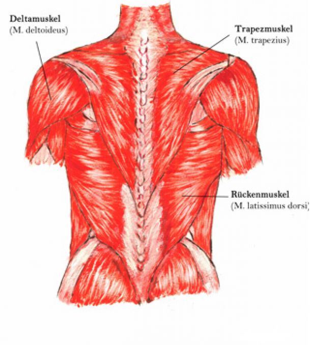 Fibromyalgie